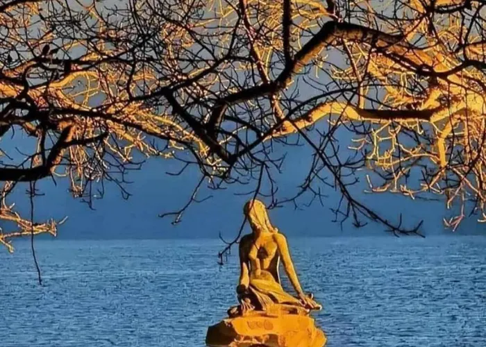 La Dimora Di Rosa